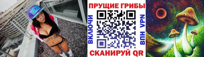 Купить  Кириши  Галлюциногенные грибы Cubensis 